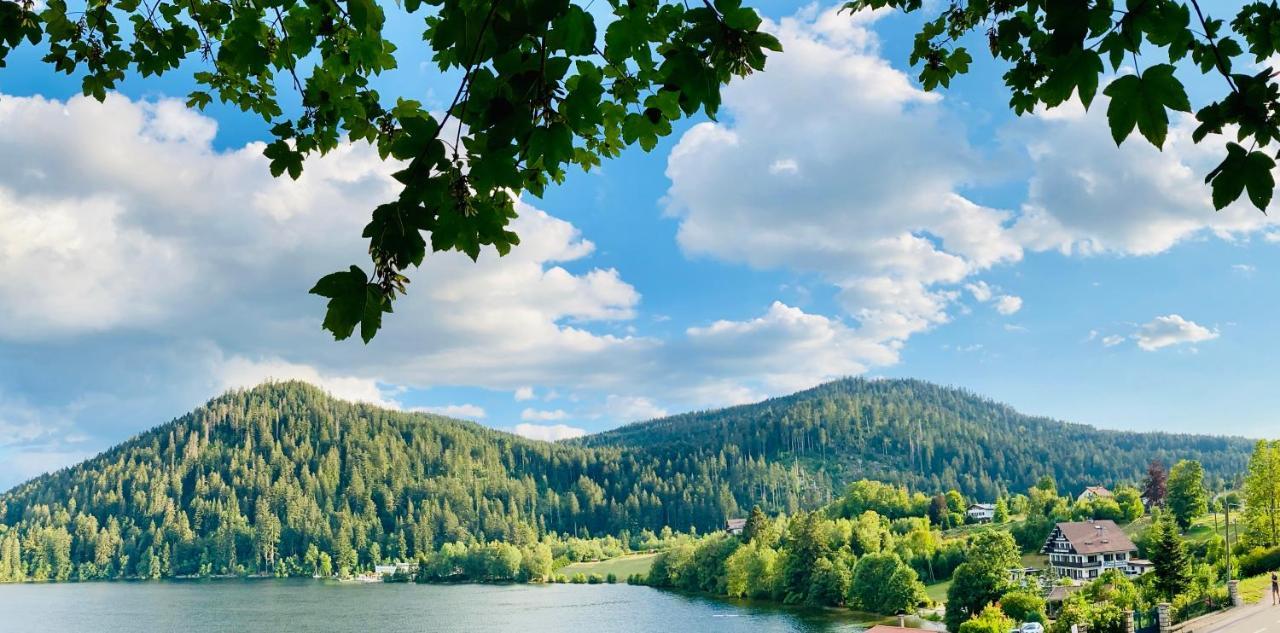 Le Chalet Au Bord Du Lac Gérardmer Eksteriør billede