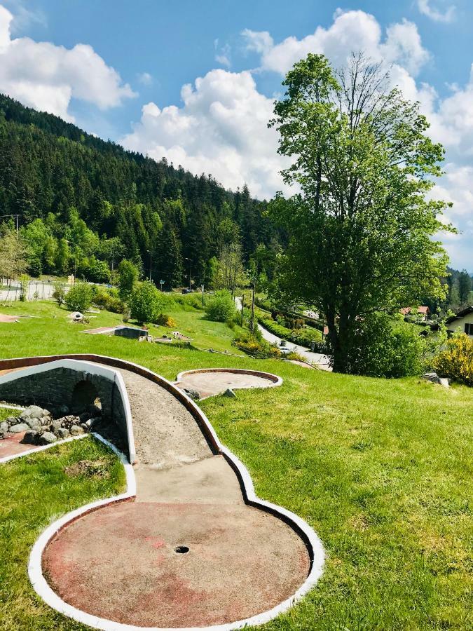 Le Chalet Au Bord Du Lac Gérardmer Eksteriør billede